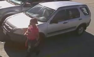 Debit Card Abuse Susp & Car 2