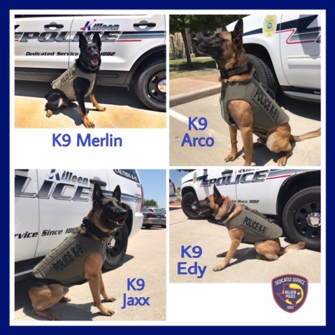 K9's in Vest